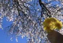 486029778_1133683518554848_196713153035873589_n