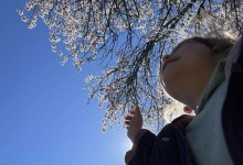 485613523_1133683321888201_2286955772570460176_n