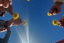 485194006_1133683071888226_5989495222040586115_n