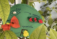 485956604_1134483011808232_761847784423811140_n