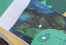 485727054_1134481285141738_5607073460724228871_n