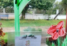 488649400_1145322464057620_7741253828725499643_n