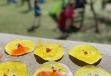 490145298_1150973053492561_3721535592114007777_n