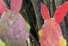 490662908_1150970676826132_7451005482103716625_n