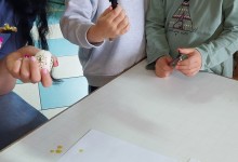 491541526_1154161383173728_6215440485984441775_n