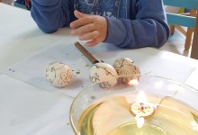 490967923_1154161359840397_6111659820716353547_n