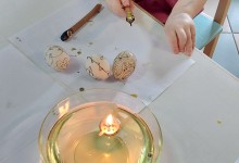 491741352_1154161243173742_3279050474902893681_n