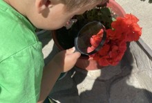 495379281_1171709648085568_2296573220878975849_n