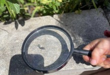 495156449_1171709501418916_1213264555064993538_n