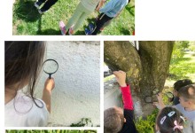 495157848_1171708874752312_7095882376154792335_n