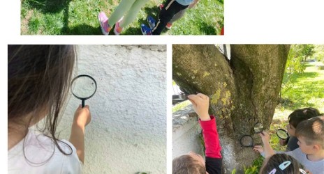 Global Action Day 2025