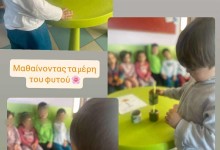 502438039_1187570266499506_4248390538842073938_n