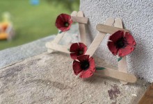 502494934_1187570243166175_2438692854917181234_n