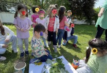 502666933_1187570199832846_4081340707304623118_n