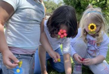 501043091_1187569763166223_7374907059749331256_n