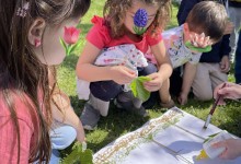 502637646_1187569689832897_1474395502581029417_n