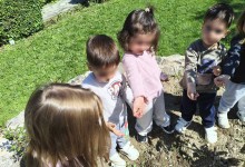 501039314_1187569506499582_881652337334063656_n