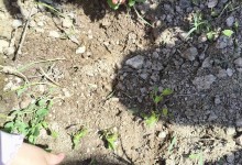 502445216_1187569449832921_1604802128997947700_n