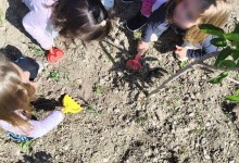 501595976_1187569233166276_1298811162041256799_n