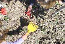 502902790_1187568886499644_5504271655739272327_n