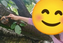 502711627_1187568313166368_3297333243636523534_n