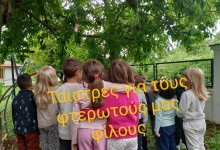 502682530_1187567946499738_8460032125292653650_n