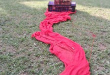 503399771_1190344676222065_7486750135133644721_n