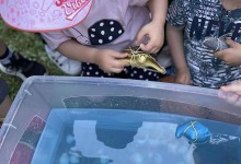 504022310_1192126416043891_6105523608433696366_n