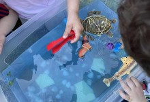 504506645_1192126336043899_3551865955923959395_n