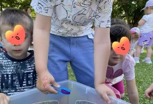 504084685_1192126289377237_7597558194330302437_n