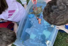 504194210_1192126236043909_6109983047711933931_n