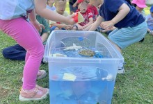 503879359_1192124426044090_4002303801405253397_n