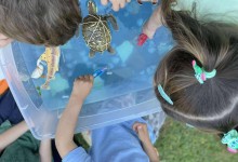 503897335_1192126179377248_8426165013061791667_n