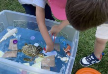 504423142_1192126136043919_3958362632002351629_n