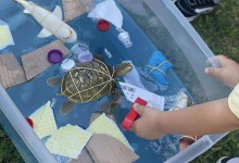 504209850_1192126112710588_1008943806993523675_n