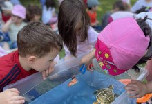 504153548_1192126062710593_2499431349815455946_n