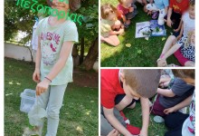 504105119_1192125862710613_7142958812279912441_n