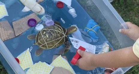 Παγκόσμια Ημέρα Περιβάλλοντος – 5 Ιουνίου | Η Γη είναι το Σπίτι μας… Ας τη Φροντίσουμε!