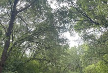 510959276_1205692668020599_2916820645340584246_n