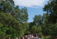 510478989_1205689528020913_6850406079776998270_n