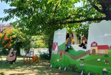 517391076_1217063886883477_6753440686006685916_n