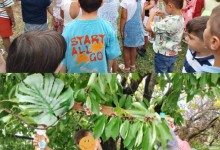 514274265_1269875181602347_4951521262764056936_n