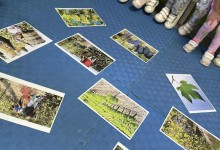 554782579_1281841293739069_2367346791561430156_n