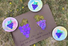 555677380_1281844090405456_2218285819160461891_n