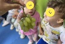 555921172_1281838367072695_6545696222917446092_n