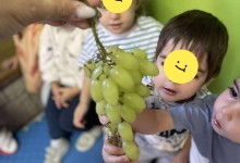 554867402_1281842670405598_127459705968739276_n