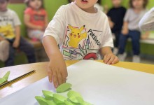 556047357_1281842523738946_7351187860311629270_n