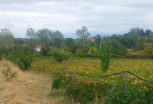 557445887_1284407096815822_2856411064197788043_n