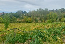 555899692_1284406976815834_857378247050650393_n