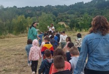 555879179_1284406873482511_5021695555759235197_n